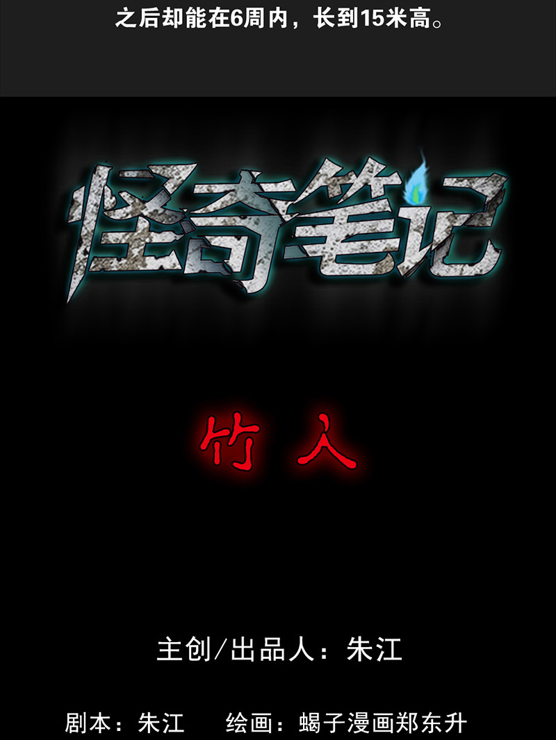 章节图片